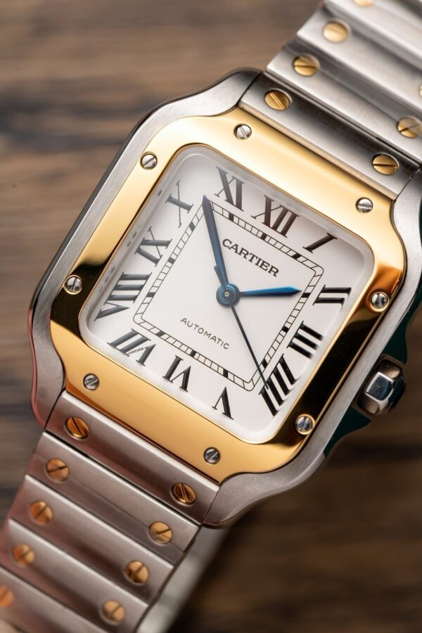 Best Fake Cartier Santos WSSA0029 Replica 1:1 Watch Women's Demi Gold BV Factory 35mm - Top Watch - 图片 3